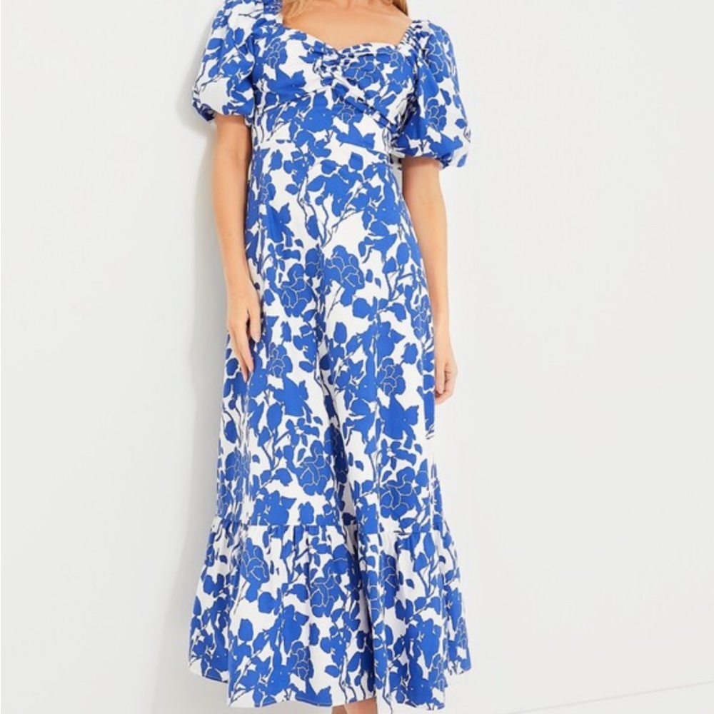 Size S Tuckernuck Hyacinth House Blue Floral Seaport Midi Dress